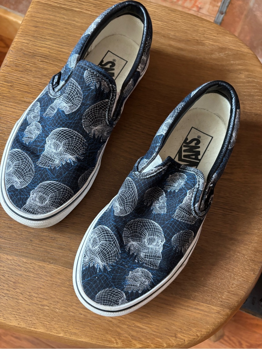 Vans dark blue  Skate Slip-On Shoes with White Skull Graphic